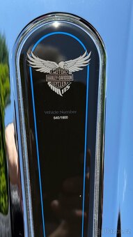 Harley Davidson Street Glide Anniversary 115 - 9