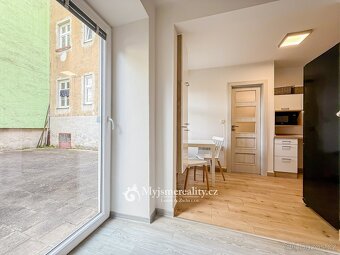 Pronájem vybaveného bytu 1+kk s dvorem, 44 m2, Znojmo, 17. L - 9
