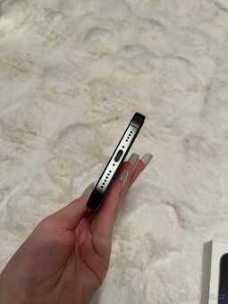 iPhone 16 Pro Max 256GB - 9