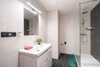 Pronájem nadstandardního bytu 3+kk, 88,2 m², B. Smetany, Čes - 9