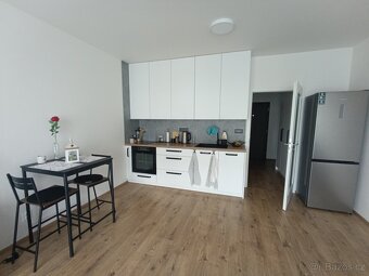 Pronájem bytu 1+kk, novostavba Opava, Císařského pluku - 9