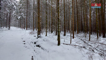 Prodej lesa, 60981 m², Česká Třebová - Svinná - 9