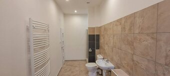 Pronájem bytů 2kk a 3kk, s balkónem či terasou, Peruc - 9