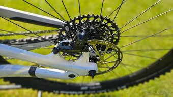 Canyon Spectral 125 CF 7 - 9