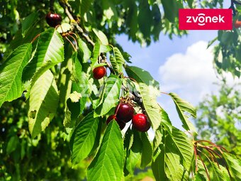 Stavební pozemek Těšnovice/KM - 9