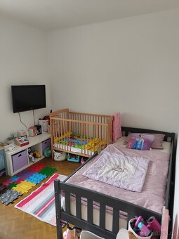 Byt 3+1 Chaloupky - 9