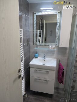 Pronájem cihlového bytu 2+kk, ul. Wolkerova, Olomouc. - 9