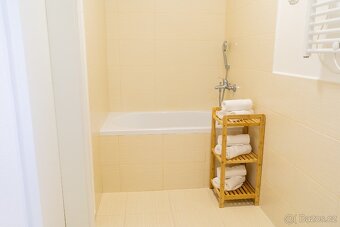 Byt 1+1, cihla, 40 m², Nový Malín (kompletně vybaven) - 9
