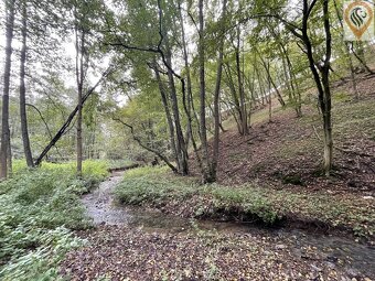 Prodej lesa o výměře 8 326m2 - 9
