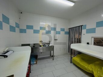 Pronájem komerčního prostoru 122m2, Hodonín - 9