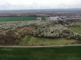 Exkluzivně nabízíme k prodeji ovocný sad o výměře 1850 m². - 9