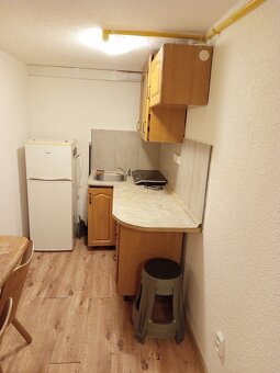 Byt 1+1 (cca. 45 m2)+ zahrada (700 m2), Slovany, Plzeň - 9