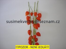 Sušené květiny - Tatarika, Slaměnky, Len,… - 9