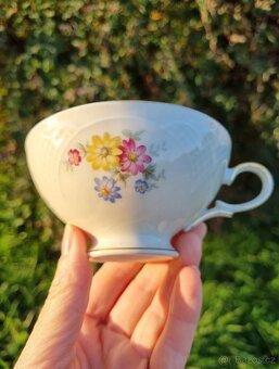 Starožitná porcelánová sada, Německo Zeh Jchecze - 9