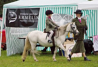 Prodej pony s TOP povahou - 9