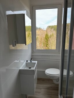 Prodej bytu 1+1 30m s balkónem 5 patro - 9