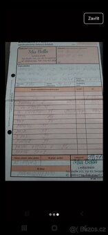 Krátké svatební šaty - 9