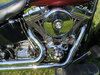 Harley Davidson FLSTS Heritage Springer - 9
