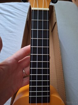 Ukulele Mahalo - 9