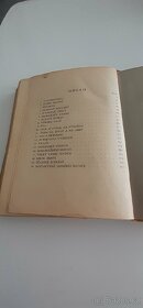 Poslední náčelník J. A. Altsheler - 9