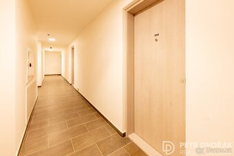 Pronájem bytu 1+kk 33 m2 Poděbradská, Praha - Hloubětín - 9