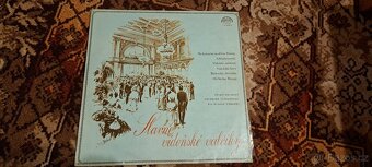 Gramofonové desky, hity, Katapult, POP, Gott, Hana Z. a více - 9