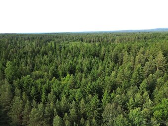 Prodej rodinného domu 60 m² České Velenice - 9