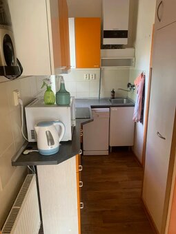 Pronájem bytu 3+1 100 m² - 9