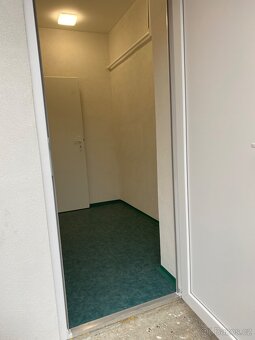 Pronájem nebytového prostoru - 9