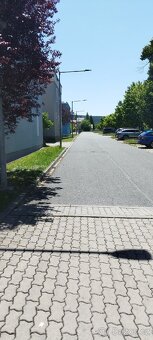 Pronájem skladu/paletové stání až 160 palet - 9