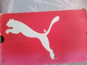 Puma - 9