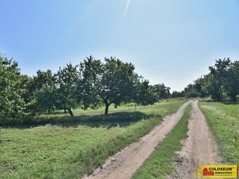 Velké Pavlovice, stavební parcela, 550 m², investice, klidná - 9