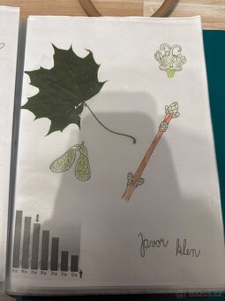 Herbář - 9