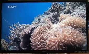 Prodám TV SAMSUNG  UE40F6100 LED , Full HD, 200Hz CMR - 9