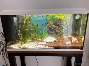Akvárium 90l včetně kompletního příslušenství - 9