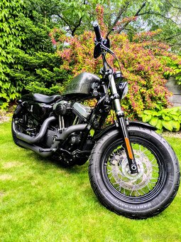 Harley Davidson Forty Eight 1200 - 9