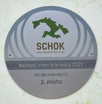 Koza "Česká bílá krátkosrstá". - 9