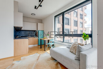 Pronájem moderně zařízeného bytu 1+kk (34,2 m²) s parkováním - 9