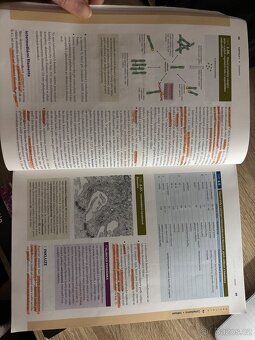 Junqueirovy základy histologie - 9