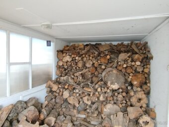 Železná buňka - 9