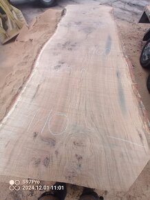 XXXL giga velké dubové fošny šířka +100cm - 9