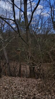 Jalubí - místo pro odpočinek - 9