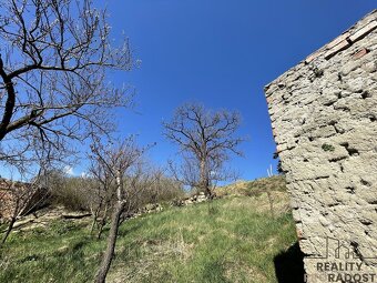 Prodej  vinného sklepa s pozemkem (663 m2)  ve Valticích-čás - 9