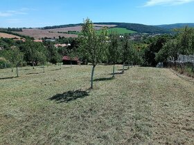 Zahradní a lesní práce -sečení,mulčování, údržba pozemků - 9