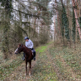 Sportovní pony kat. A - 9