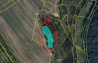 Prodej lesního pozemku v k.ú. Horní Bukovina - 9