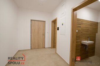 Pronájem, byty/2+kk, 70 m2, Železná 3061/12, Jižní Předměstí - 9