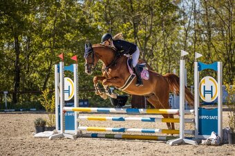 Valach 2020 po For Treasure VDL - 9