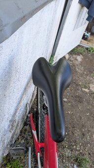 Specialized XC expert Prodej jízdního kola) - 9
