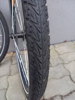 Kola 26" - 9